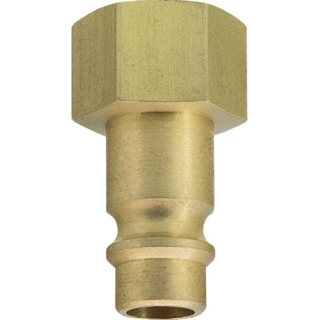 Złączka wtyk. BSP gw.wewn. 1/4"
