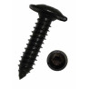 Blachowkręty 3,5x13 z łbem podkładkowym czarny 100 szt. DRESSELHAUS 4635-3.5X13