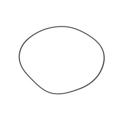 Pierścień uszczelniający hamulcowy 306,6x3,4 5105540, 5105541, 5169562