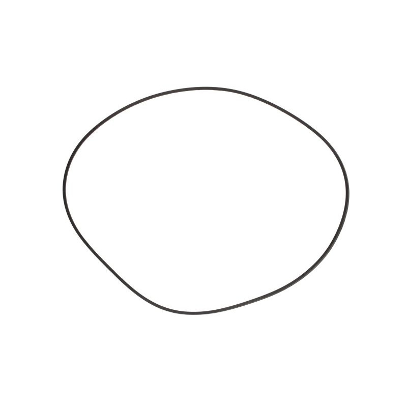 Pierścień uszczelniający hamulcowy 306,6x3,4 5105540, 5105541, 5169562