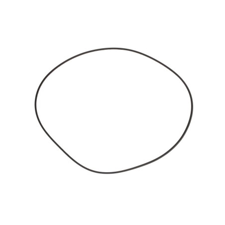 Pierścień uszczelniający hamulcowy 306,6x3,4 5105540, 5105541, 5169562