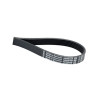 Pasek wielorowkowy 6PJ-381mm Optibelt 4014486123807