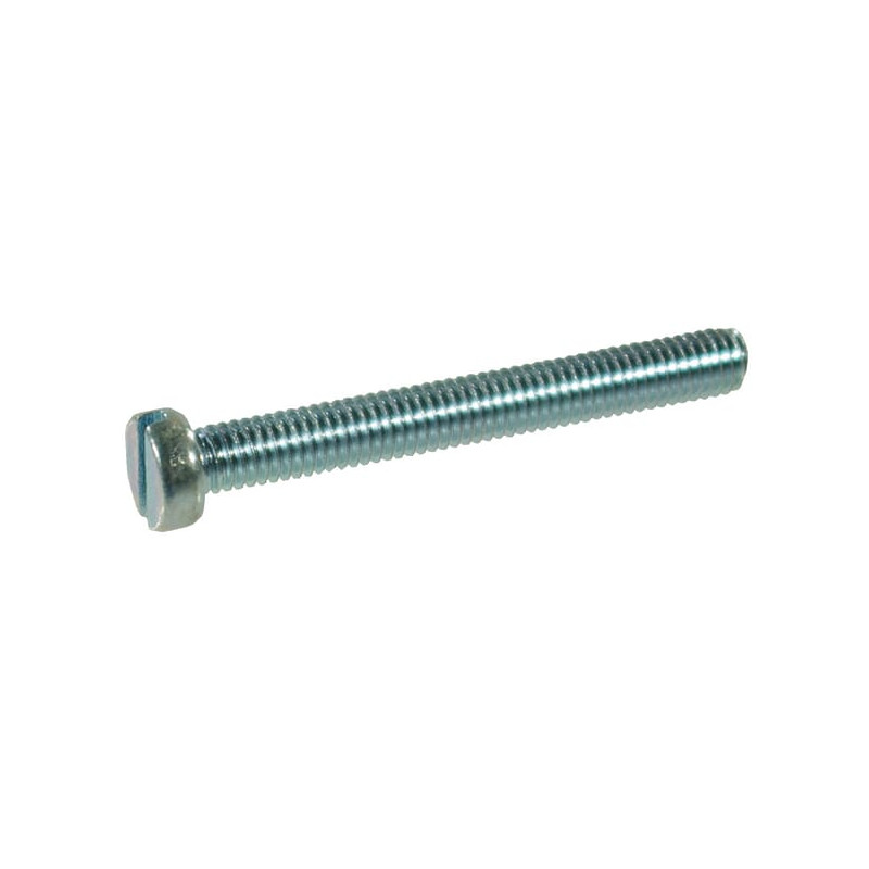 Wkręt z łbem walcowym DIN84 M5x30 mm ocynk kl. 4.8 
