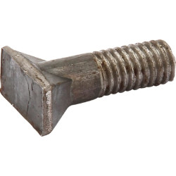 Rasspe
