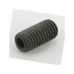 Walterscheid 600551 Wkręt bez łba M10x20 DIN916 702486