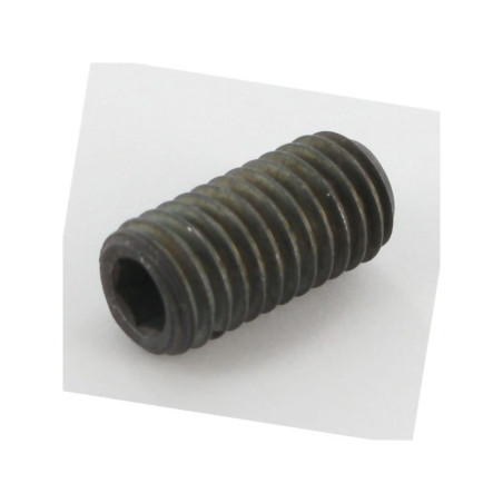 Walterscheid 600551 Wkręt bez łba M10x20 DIN916 702486