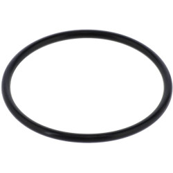 Seal F03010546R Gaspardo F03010546R