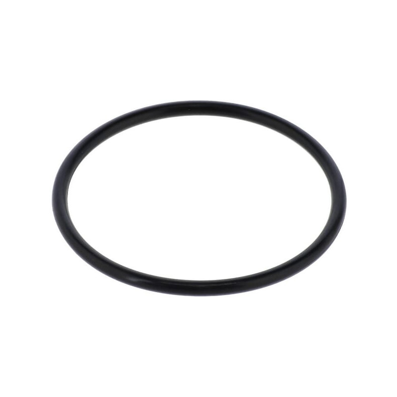 Seal F03010546R Gaspardo F03010546R