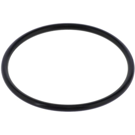 Seal F03010546R Gaspardo F03010546R