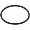 Seal F03010546R Gaspardo F03010546R