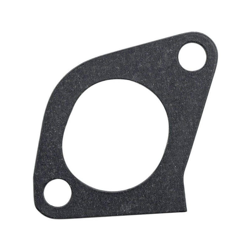 Uszczelka kolektora ssącego, p 36862131N Tedel 36862131
