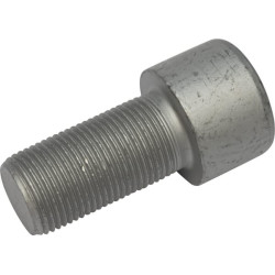 Śruba imbusowa kl. 10.9, M20 x 30110255 Lemken 30110255