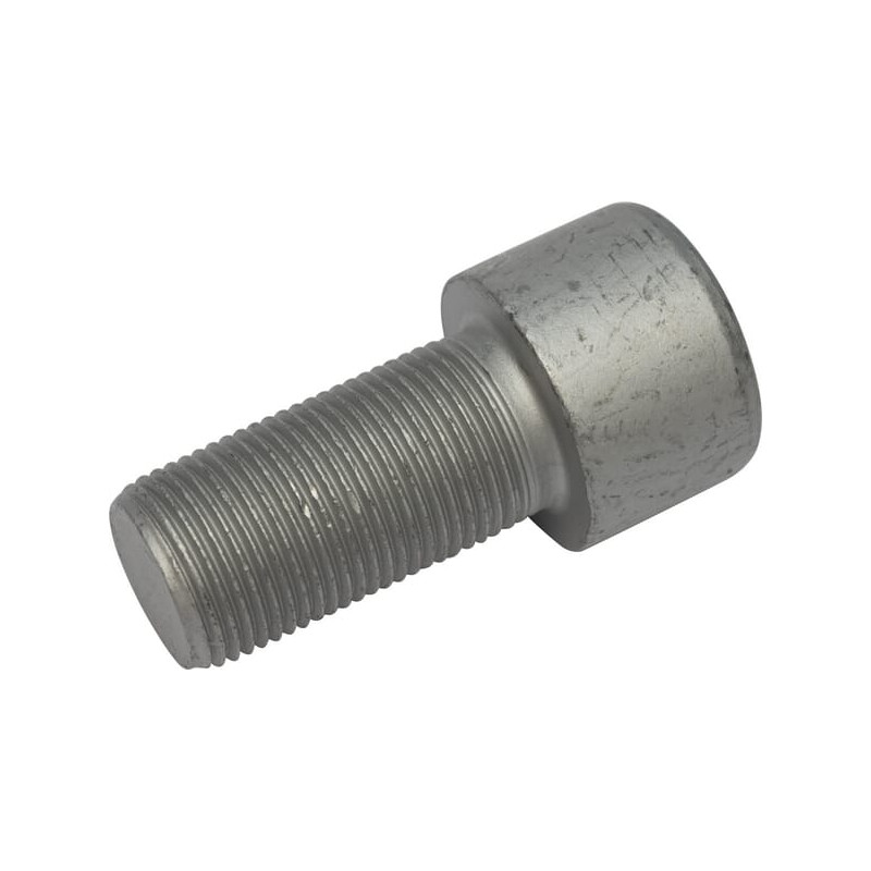 Śruba imbusowa kl. 10.9, M20 x 30110255 Lemken 30110255