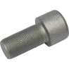 Śruba imbusowa kl. 10.9, M20 x 30110255 Lemken 30110255