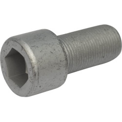 Śruba imbusowa kl. 10.9, M20 x 30110255 Lemken 30110255