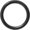 Carraro 028560