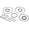 Ste of seals PTP-pump Casappa 429839 Väderstad 429839