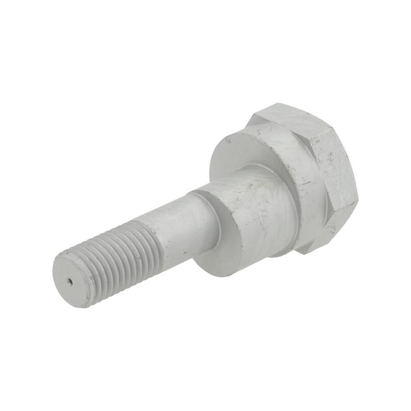 Śruba М20×95 30110072 Lemken 30110072