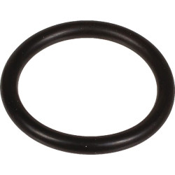 Oring 3 x 22 803218002 Bertolini 803218002