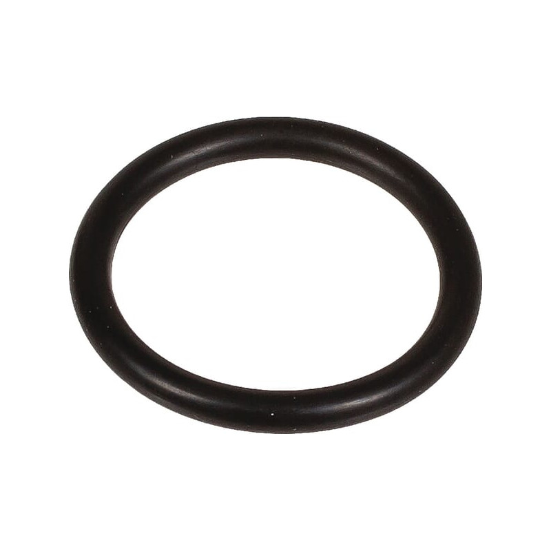 Oring 3 x 22 803218002 Bertolini 803218002