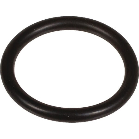 Oring 3 x 22 803218002 Bertolini 803218002