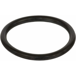 Amazone FC383 Oring 17.17x1.78