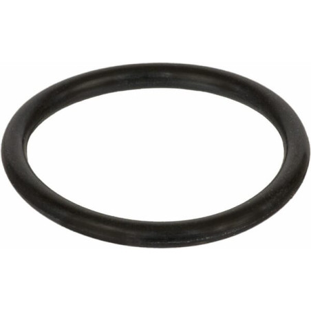 Amazone FC383 Oring 17.17x1.78