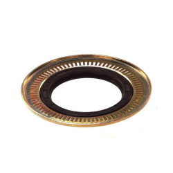 Simmering 76x100/137x10/15,5 RWDR-KOMBI FPM YAG KEC Corteco 01019466