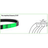 Pasek 2HB 5250 (zielony)