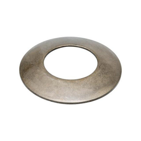 Dana Spicer 171.04.012.01 - Tarcza cierna 1710401201 Spicer Dana 2015-1710401201