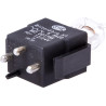 Żarówka Xenon 12 V 25 W