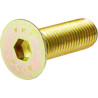 Śruba imbusowa M16x50 mm