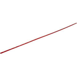 Szyna