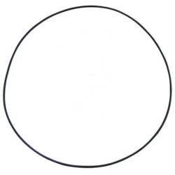 Oring  247,32 x 2,65 mm 