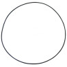 Oring  247,32 x 2,65 mm 