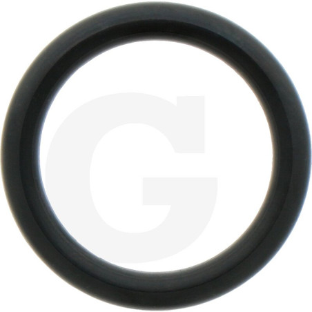 1210002000 Comet Oring 20,22x3,53