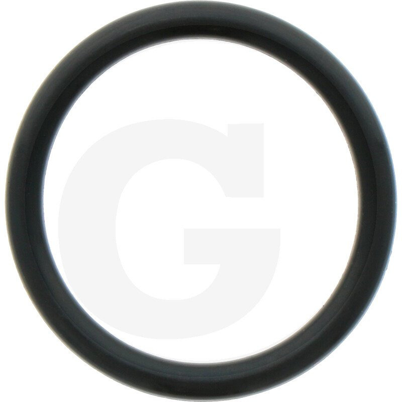 1210003400 Comet Oring 28,17x3,53