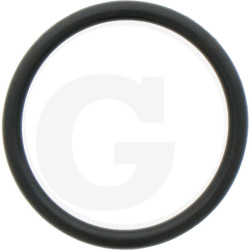 1210003700 Comet Oring 25x2,5