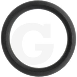 1210009600 Comet Oring 21,82x3,53