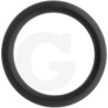 1210009600 Comet Oring 21,82x3,53