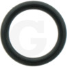 1210011100 Comet Oring