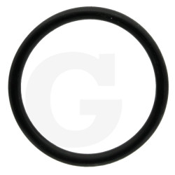 1210011400 Comet Oring 36,1x3,53