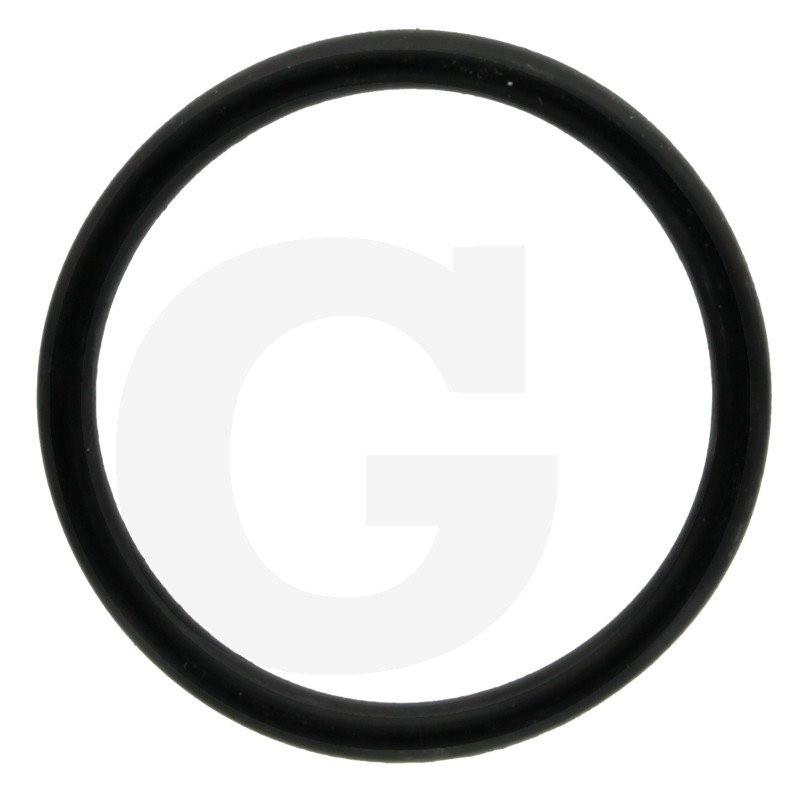 1210011400 Comet Oring 36,1x3,53