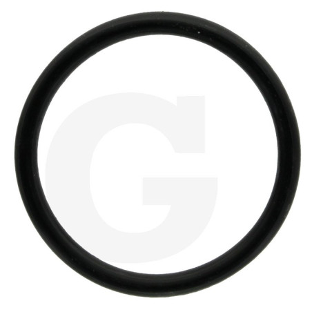 1210011400 Comet Oring 36,1x3,53