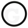 1210011400 Comet Oring 36,1x3,53