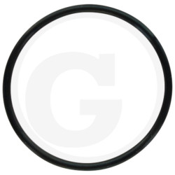 1210012200 Comet Oring 44,12x2,62