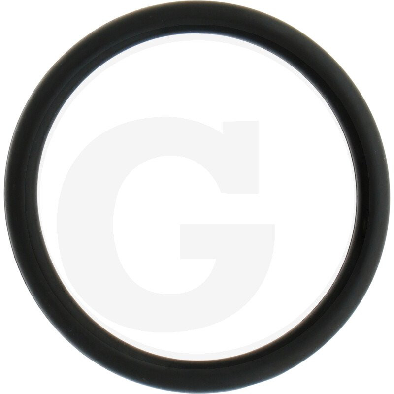 1210018000 Comet Oring fi 3 x 29 mm