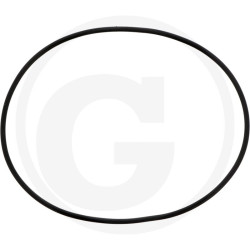 1210020600 Comet Oring