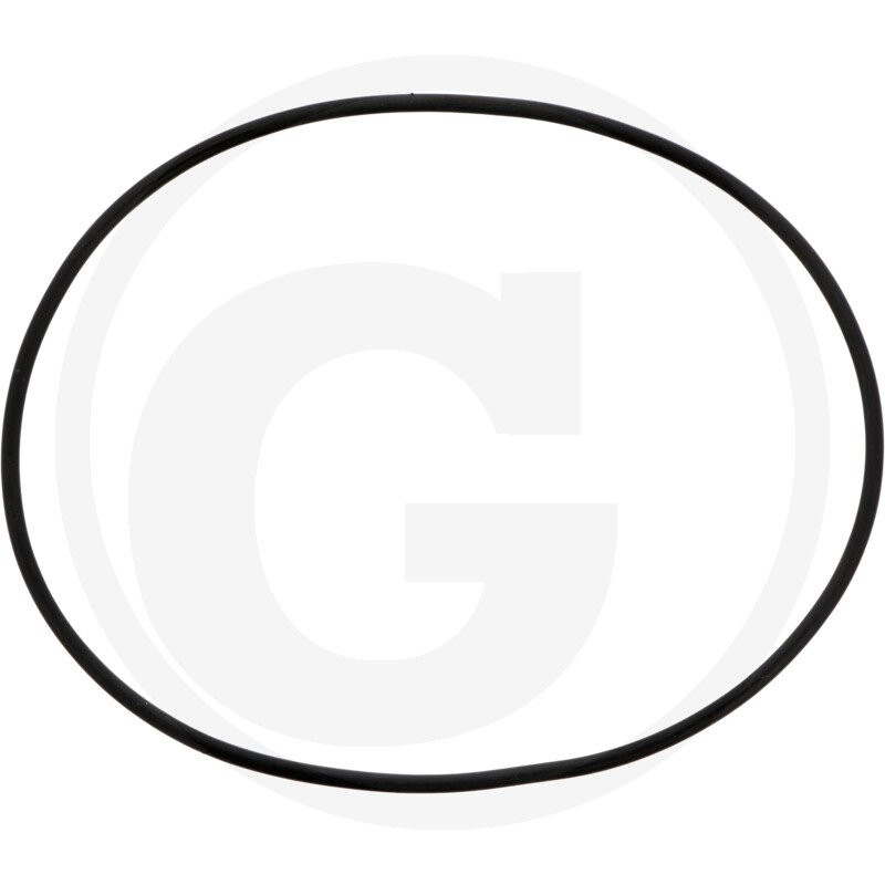 1210020600 Comet Oring