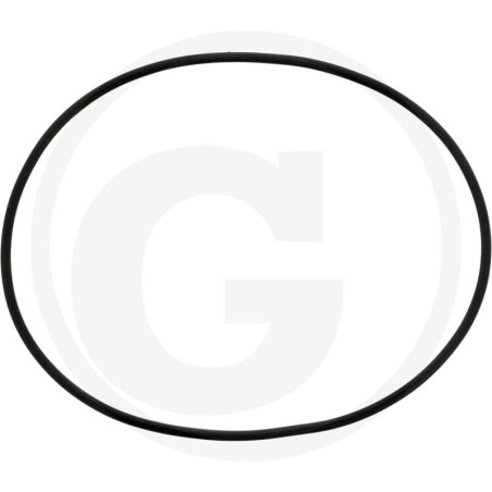 1210020600 Comet Oring
